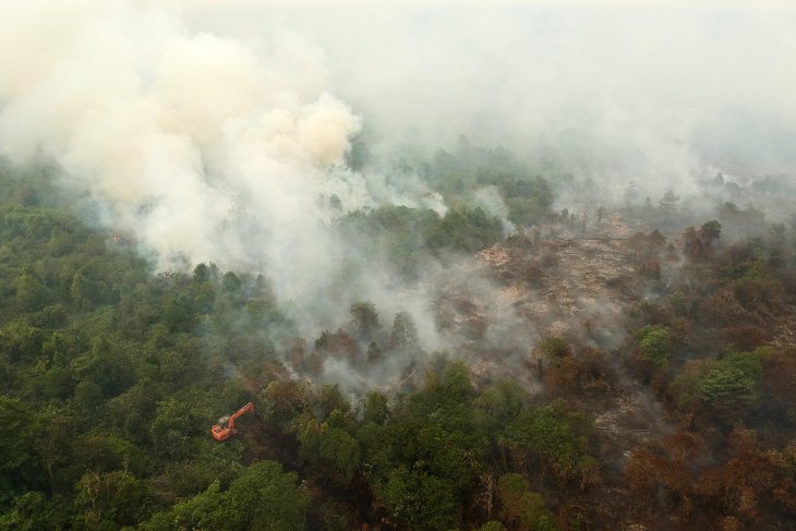 Lahan gambut di Jambi masih menyimpan bara api, sewaktu-waktu bisa terbakar