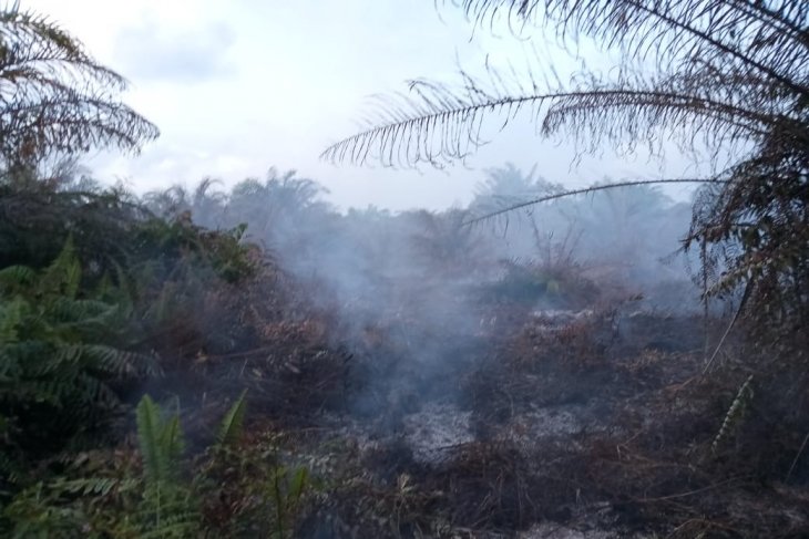 BMKG: Hujan padamkan kebakaran lahan di Aceh