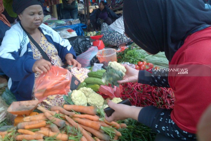 Sejumlah sayur terdeteksi pestisida di Ambon masih di bawah ambang batas