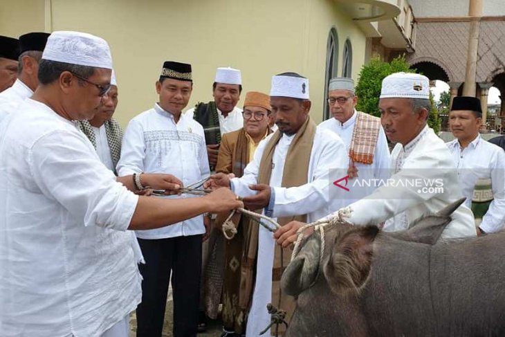 Aceh Barat kurban 48 ekor ternak