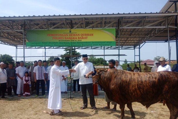 Polres Bangka Barat potong 18 ekor hewan kurban