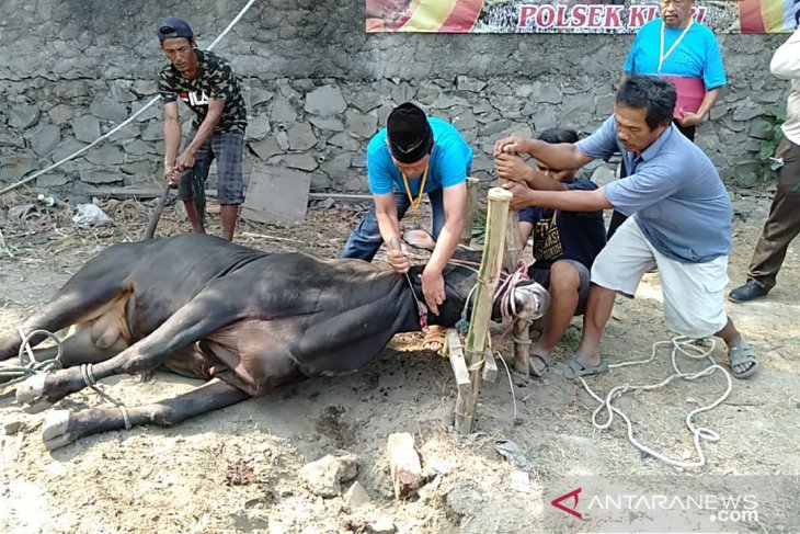 Anggota Polsek Klari Karawang menabung selama setahun untuk berkurban