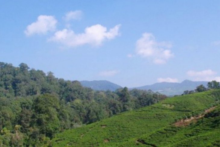 Bogor to conduct ecotourism promotion through Halimun Youth Camp