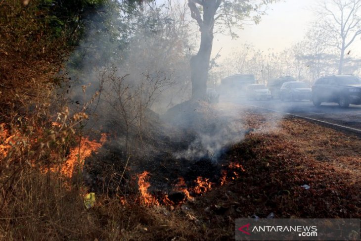 Empat peristiwa kebakaran lahan terjadi di Penajam dalam satu hari