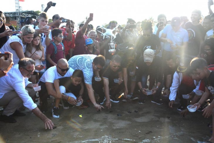 Pemkot Denpasar lepas 100 tukik di Pantai Segara