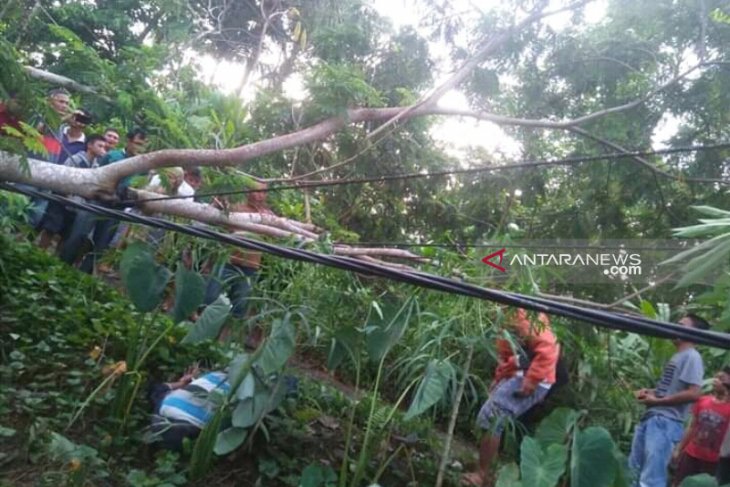 Penggalas ayam meninggal kesetrum listrik di Gunungsitoli