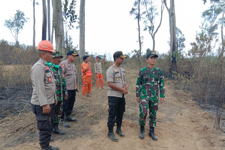 Dandim dan Kapolres tinjau lokasi kebakaran lahan