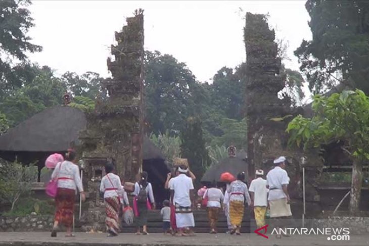 BPBD Tabanan: sudah padam, kebakaran di puncak Gunung Batukaru (video)