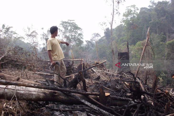 Pembukaan kebun picu kebakaran di Rejang Lebong