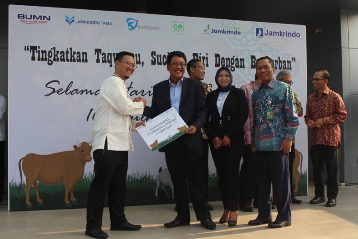 PT. Penjaminan Jamkrindo Syariah salurkan 16 ekor sapi qurban pada Idul Adha 1440 H