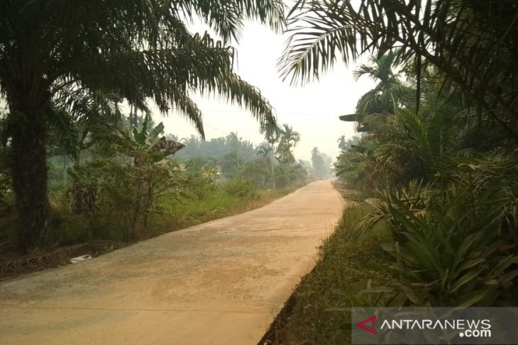 Warga Jambi mulai terganggu debu dan asap