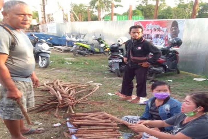 Bajakah, dipandang sebelah mata hingga jadi buruan warga