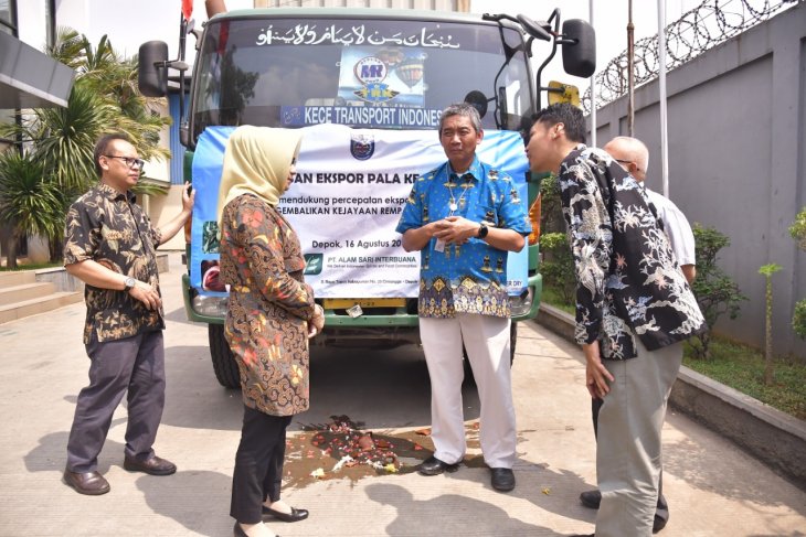 Kembalikan kejayaan rempah nusantara, Kementan launching ekspor pala ke Belanda