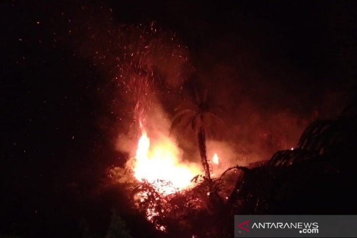Conflagration razes Mount Pogor forest area