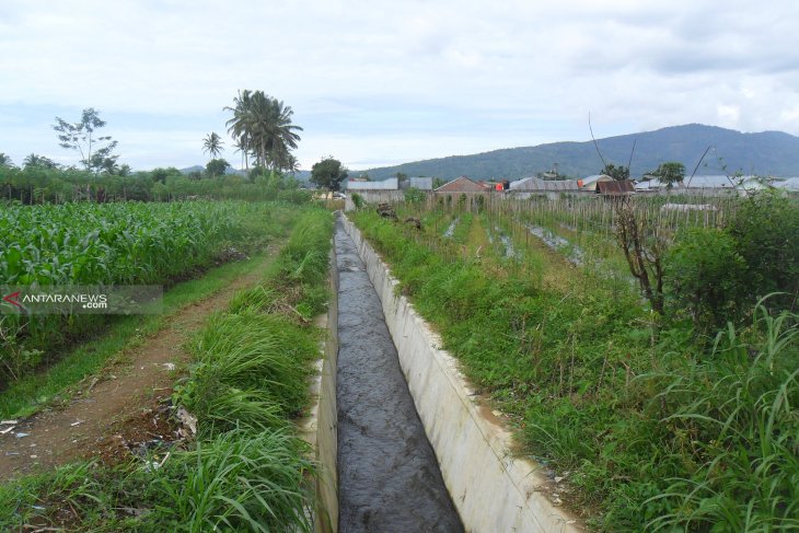 35 persen saluran irigasi Rejang Lebong rusak