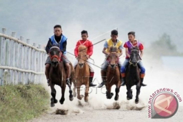 Disparpora: 330 ekor kuda bakal ikuti pacuan tradisional di Takengon