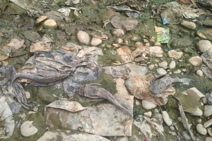 Ombudsman sebut DLH Bogor tidak kompeten atas pengawasan Sungai Cileungsi