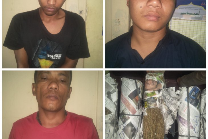 Polisi Tanjungpura tangkap tiga tersangka pemilik daun ganja
