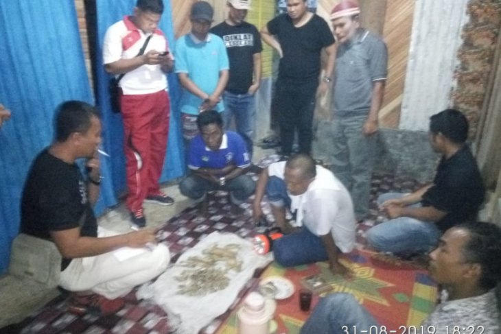 Polisi tangkap warga pengumpul tulang harimau