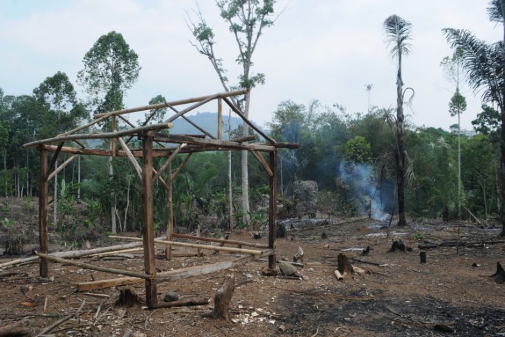 Petani Badui mulai garap ladang huma, Oktober penanaman