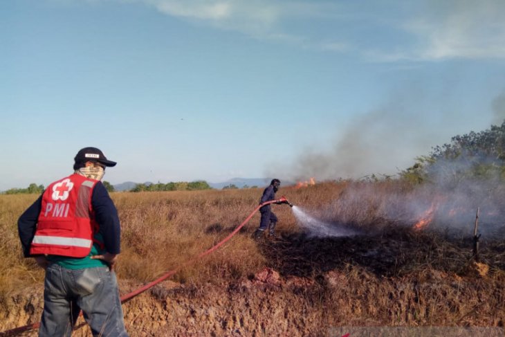 PMI Banjar terjunkan personel bantu padamkan karhutla di Kalsel