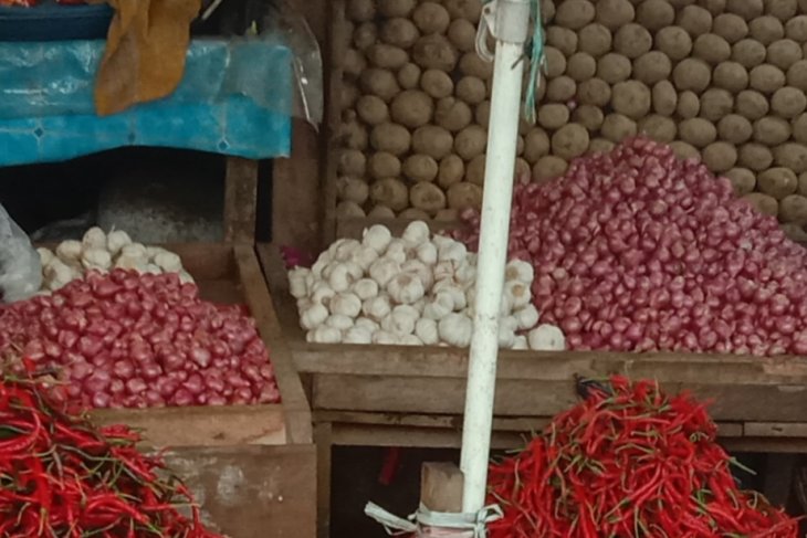 Harga bawang di Ambon anjlok