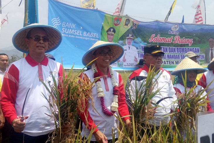 Batan: Nuklir bermanfaat bagi produktivitas pertanian