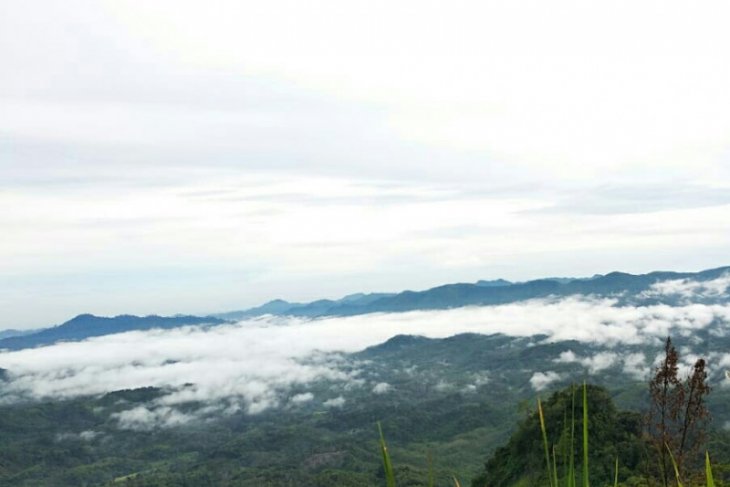 Bukit Tempurung di Sarolangun sajikan pesona awan memikat
