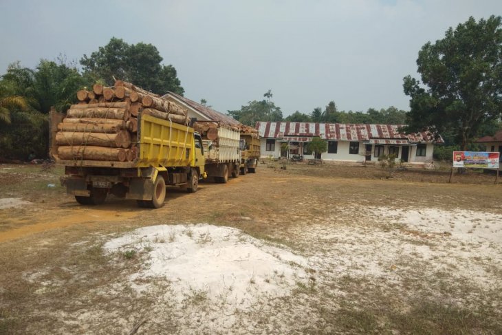 Satgas Pamtas amankan tiga unit truk kayu ilegal