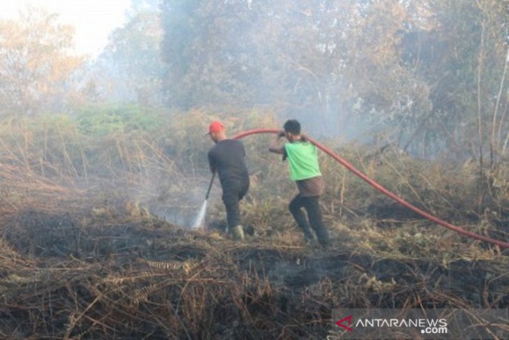 Karhutla di Aceh Barat kini dekati pemukiman warga