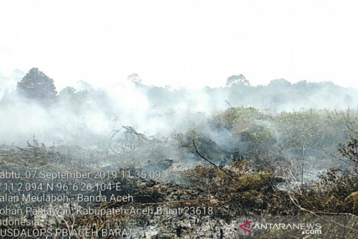 Hujan padamkan 80 persen karhutla di Aceh Barat