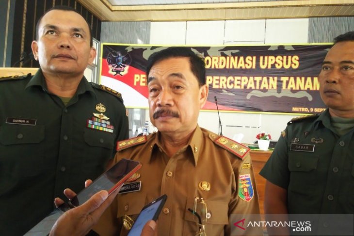 Lampung percepat masa tanam genjot produksi padi