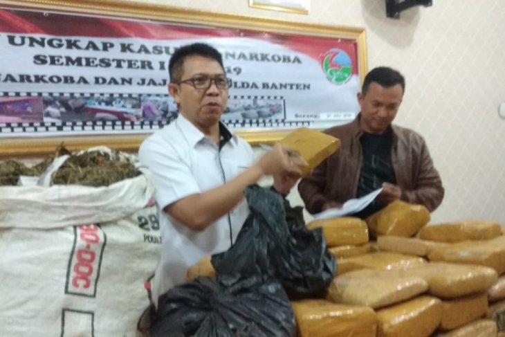 Lima bandar narkoba di Banten dibekuk polisi, 82 kg ganja diamankan