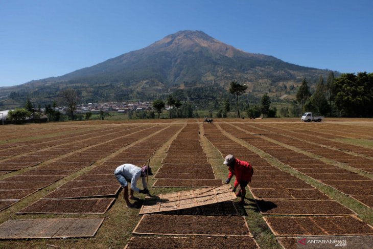 GAPPRI nilai kenaikan tarif cukai rokok memberatkan