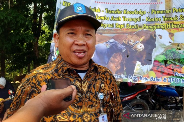 Pemprov Kepulauan Babel atasi kekeringan 570 hektare sawah