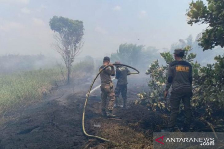Kebakaran lahan gambut Penajam belum berhasil dipadamkan