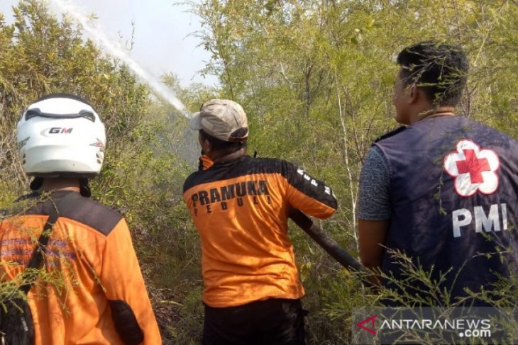 17 hektare hutan di Kawasan Lintas Timur Bangka terbakar
