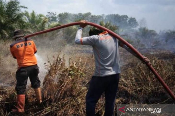 Kebakaran lahan terus terjadi di Penajam Paser Utara