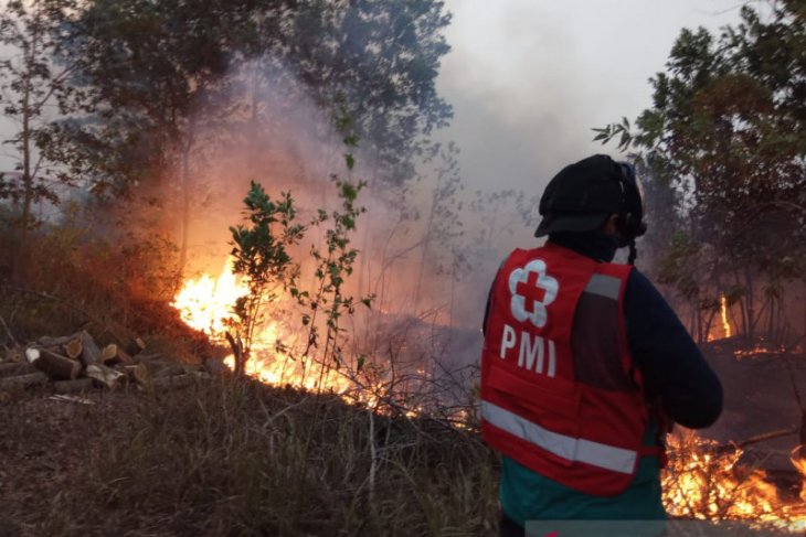 Karhutla yang semakin meluas, PMI Banjar dikerahkan lakukan pemadaman
