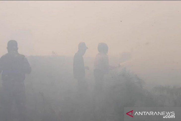 Walhi dan KKI Warsi Jambi kritisi penanganan hukum karhutla