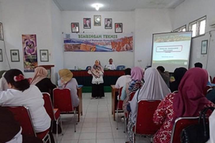 Peneliti BPTP Jambi berikan inspirasi produk olahan jagung
