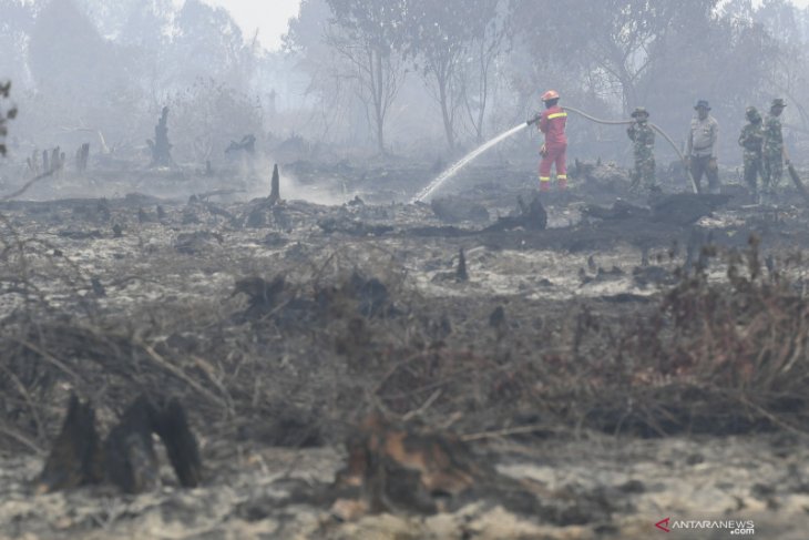 Greenpeace: KTT ASEAN momen tepat entaskan masalah asap lintas batas