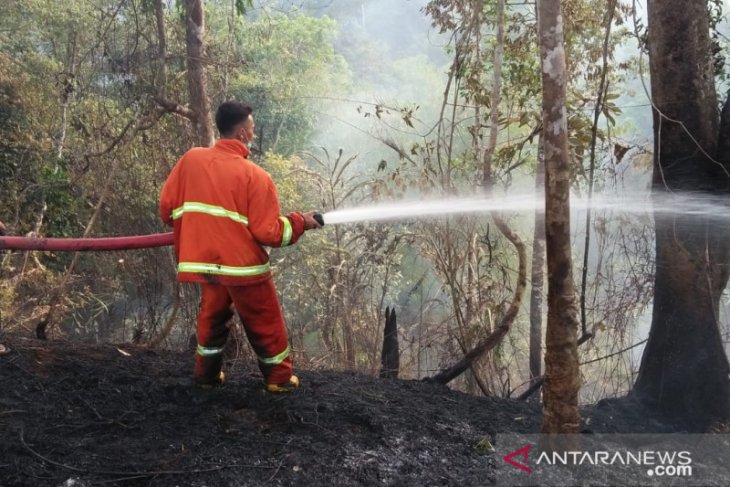 Damkar Rejang Lebong tangani 22 kasus Karhutla