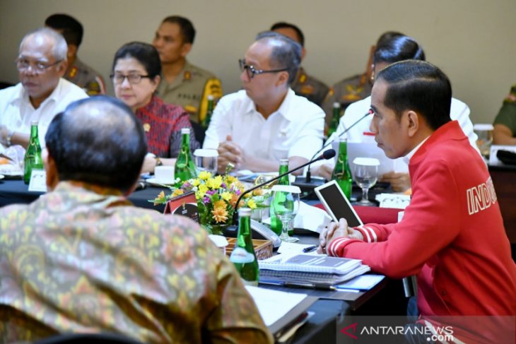 Government makes maximal efforts to fight land, forest fires: President Jokowi
