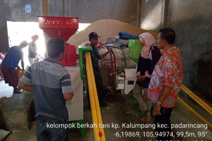 Kelompok tani di Serang optimistis produksi bisa bersaing