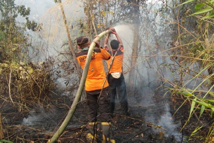 DLH Paser gelar operasi semut pemadamanan Api