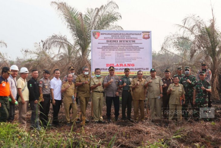 Polda segel dua lahan kebun sawit yang terbakar