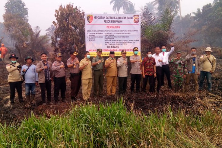 Kembali lima lahan perkebunan sawit disegel