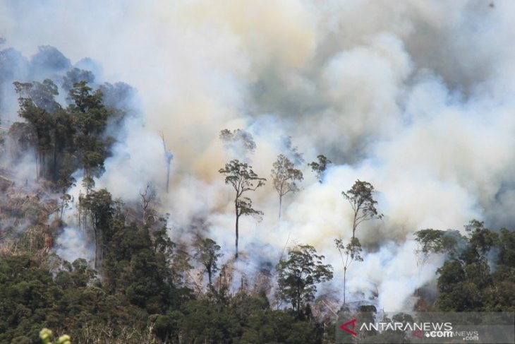 BPBD Sumsel akui masih kesulitan padamkan kebakaran lahan gambut