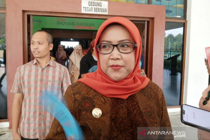 Jual potensi wisata, Bupati Bogor akan terbang ke Korea